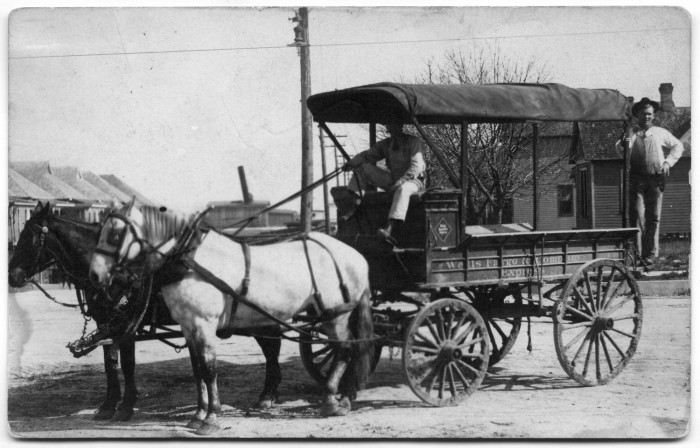 Horse Back